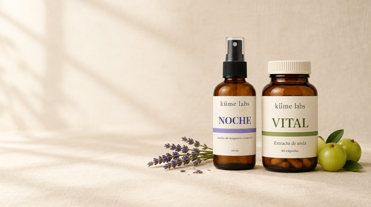 Imagen ilustrativa: NOCHE y VITAL de Küme Labs sobre lino crema